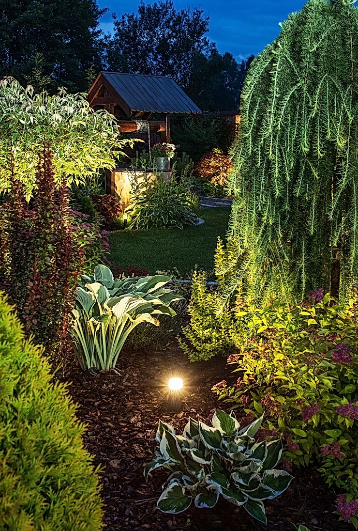 Landscape path lighting and garden uplighting, Orlando FL